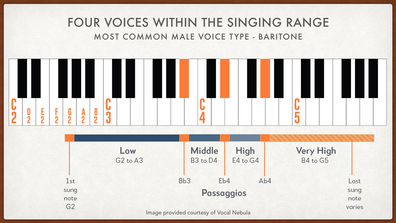 מהו מגוון השירה הנוח ביותר של זמר?